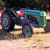 DSCN2781.jpg
