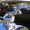 DSCN3041.jpg
