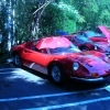 DSCN8071.JPG