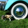 DSCN8323.JPG