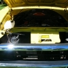 DSCN9667.JPG