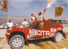 Прикрепленное изображение: dakar943.gif