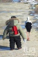 Прикрепленное изображение: 941751.jpg