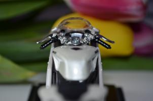 Прикрепленное изображение: DSC_5776.JPG