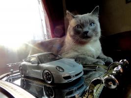 Прикрепленное изображение: DSC03083.JPG