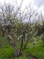 Прикрепленное изображение: DSCN6357.JPG