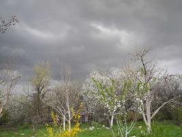 Прикрепленное изображение: DSCN6353.JPG