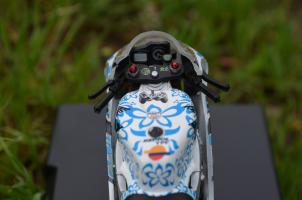 Прикрепленное изображение: DSC_6742.JPG