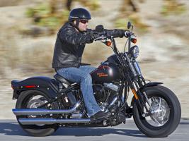 Прикрепленное изображение: FLSTSB_Softail_Cross_Bones_2008_12_1600x1200.jpg