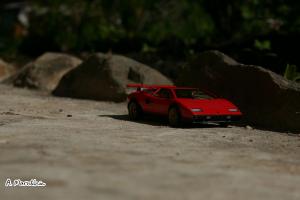 Прикрепленное изображение: IMG_0059.JPG