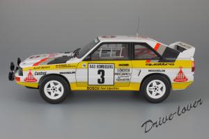 Прикрепленное изображение: Audi Sport Quattro Rally Monte Carlo 1985 Autoart for Audi 5031000105_04.JPG
