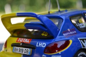 Прикрепленное изображение: DSC_8082.JPG