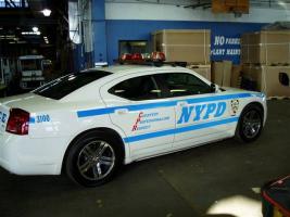 Прикрепленное изображение: nypd 0a8479be47.jpg