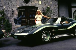 Прикрепленное изображение: farrah-fawcett-at-home-with-her-corvette-c-1976--1978-gunther.jpg