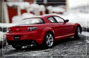Прикрепленное изображение: IMG_5296.JPG