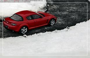 Прикрепленное изображение: IMG_5302.JPG