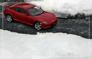 Прикрепленное изображение: IMG_5305.JPG