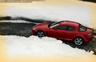 Прикрепленное изображение: IMG_5303.JPG