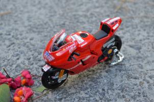 Прикрепленное изображение: DSC_0495.JPG