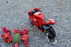 Прикрепленное изображение: DSC_0498.JPG