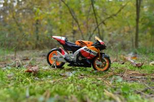 Прикрепленное изображение: DSC_0691.JPG