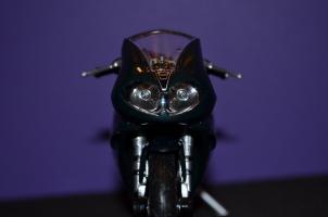 Прикрепленное изображение: DSC_8460.JPG