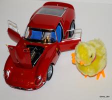 Прикрепленное изображение: 14-DSC_8994.JPG