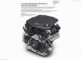 Прикрепленное изображение: foto-a5-coupe-ii_211.jpg