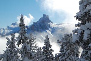 Прикрепленное изображение: Dolomiti Superski 1.jpeg