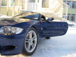 Прикрепленное изображение: IMG_0774.JPG