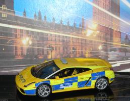 Прикрепленное изображение: LAMBORGHINI GALLARDO P1010158.JPG