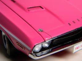 Прикрепленное изображение: DSCN2763_resize.jpg