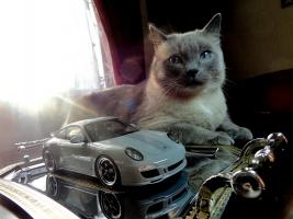 Прикрепленное изображение: 001DSC03083.JPG