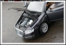 Прикрепленное изображение: DSC07342______.______.JPG
