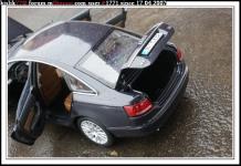Прикрепленное изображение: DSC07343______.______.JPG