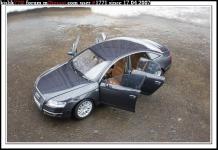 Прикрепленное изображение: DSC07350______.______.JPG