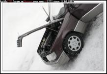 Прикрепленное изображение: DSC06552______.______.JPG