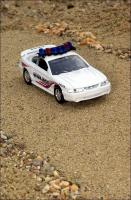 Прикрепленное изображение: 1996_Ford_Mustang_Georgetown_Police_Car___Road_Champs___RCI63104___1_small.jpg