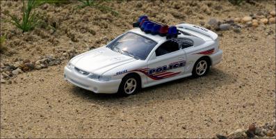 Прикрепленное изображение: 1996_Ford_Mustang_Georgetown_Police_Car___Road_Champs___RCI63104___2_small.jpg