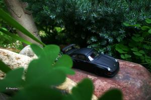 Прикрепленное изображение: IMG_7098.JPG