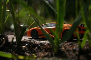 Прикрепленное изображение: IMG_7169.JPG
