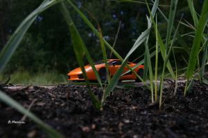 Прикрепленное изображение: IMG_7184.JPG