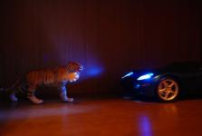Прикрепленное изображение: DSC_0604.JPG