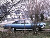 Прикрепленное изображение: Chevrolet_Chevelle_SS_Sport_Coupe_1966__7_.jpg