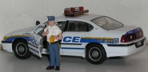 Прикрепленное изображение: cop_3_PB030085.JPG