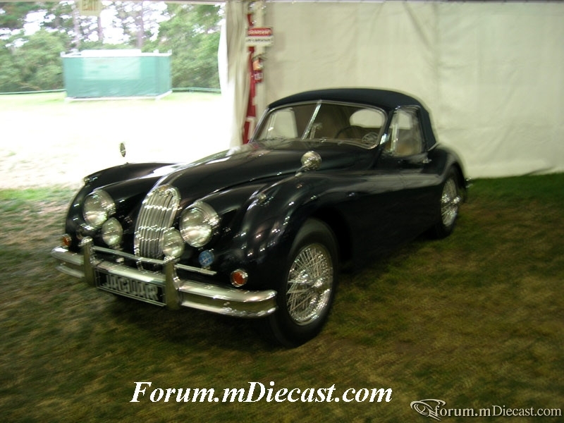 DSCN0945.jpg