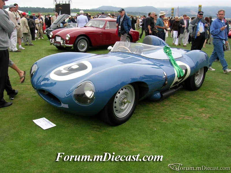 DSCN1441.jpg