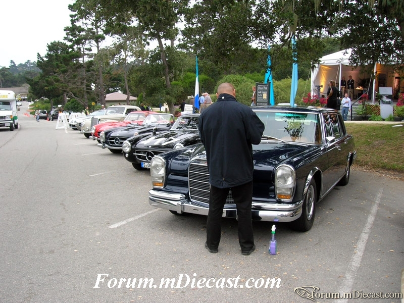 DSCN1001.jpg