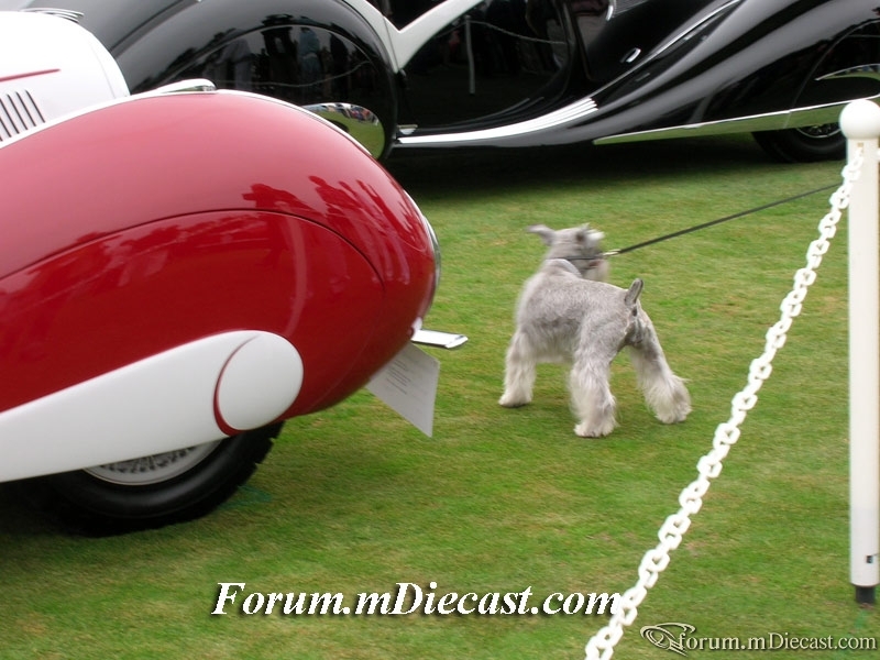 DSCN1289.jpg