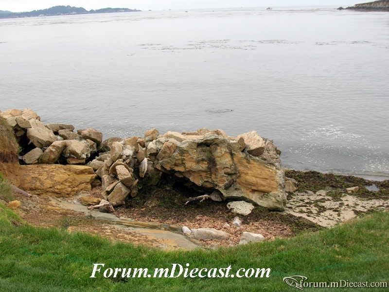 DSCN1271.jpg